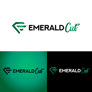 Logo Design by fly  design for this project | Design: #36328239