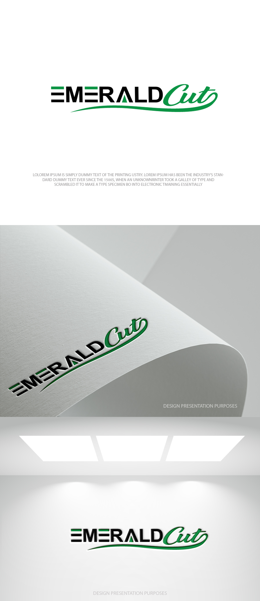 Logo Design by zebronicgraphic for this project | Design #36318467
