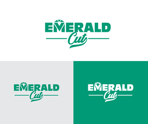 Logo Design by Ansh Design for this project | Design: #36324441