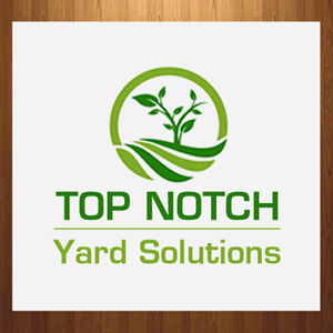 Graphic Design by HarmiDesigning for this project | Design: #36337472