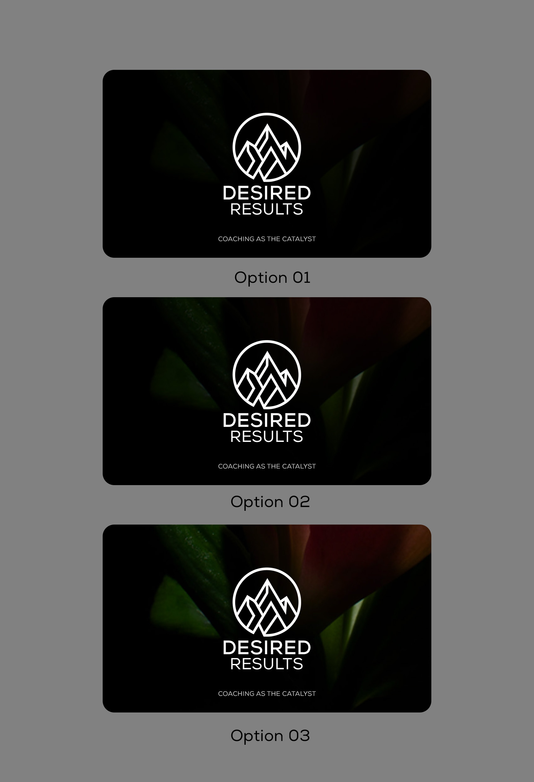 Business Card Design by Sun Moon Graphic Designer for this project | Design #36362767