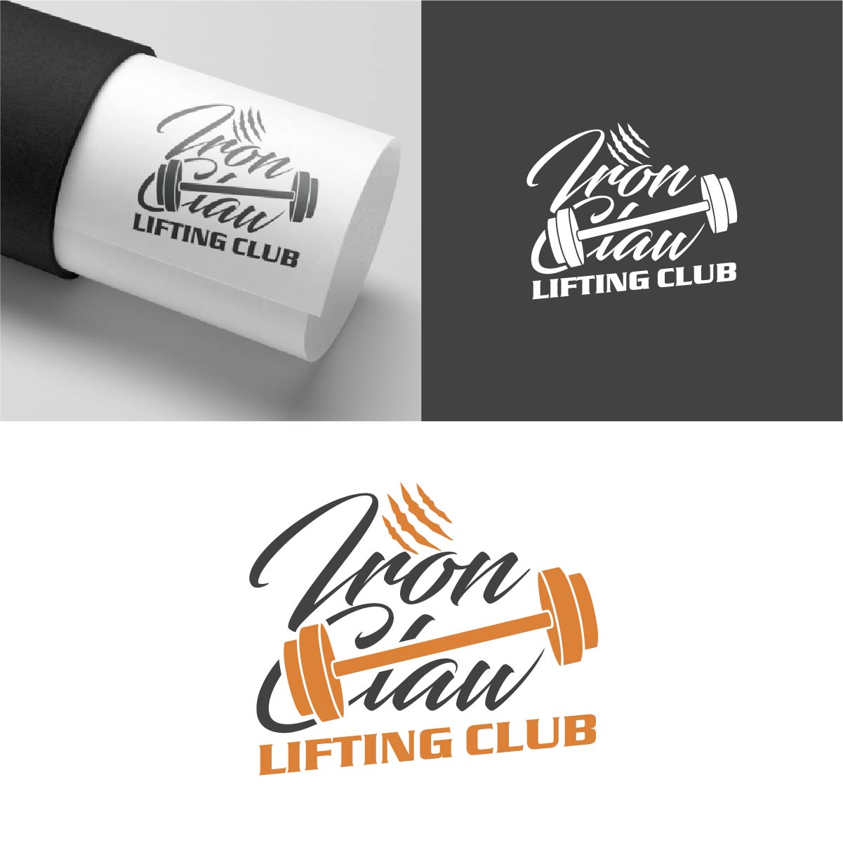 Logo Design by fly  design for this project | Design #36340382