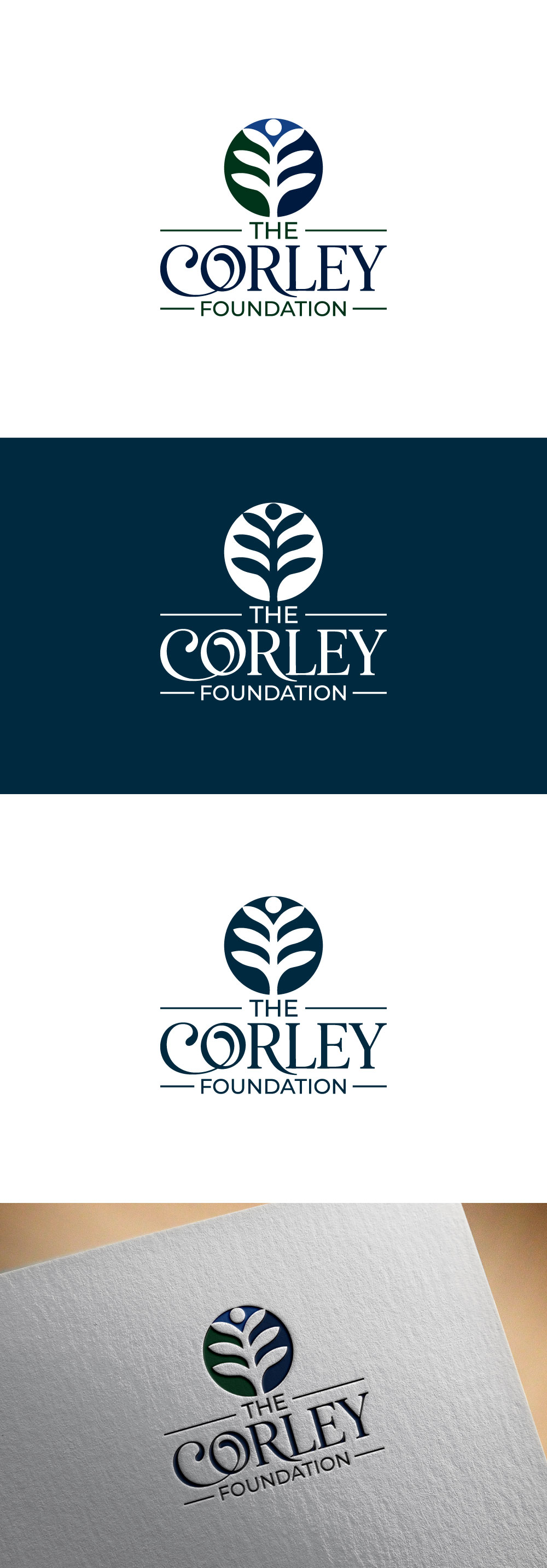 Logo Design by DesignVerse777 for this project | Design #36365831