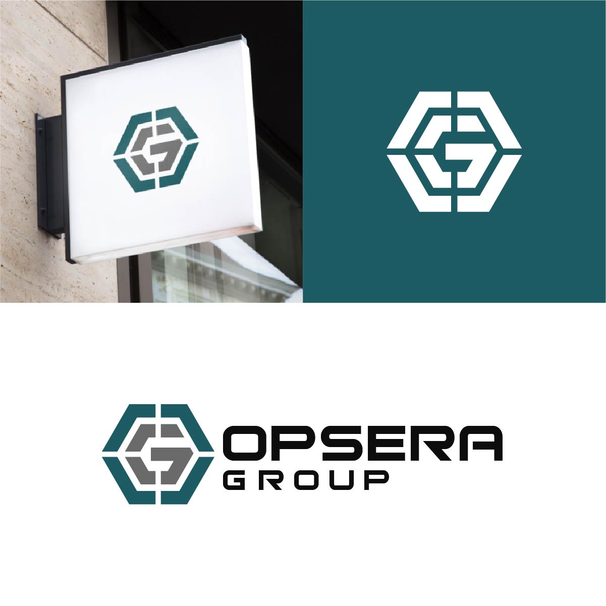 Logo Design by fly  design for this project | Design #36360737