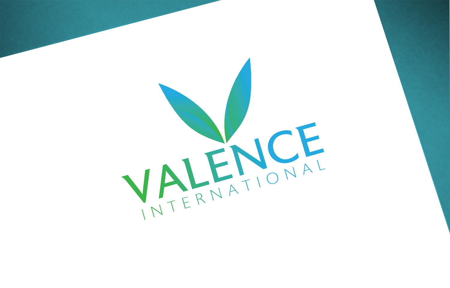 Logo Design by Think1st for this project | Design #36379803