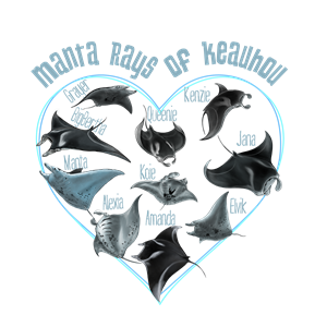 Diseño de Camiseta por Sergio Coelho para este proyecto | Diseño: #36381986