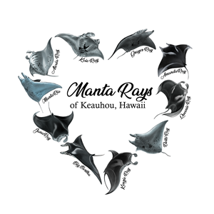 Diseño de Camiseta por JKIANN08 para este proyecto | Diseño: #36363676