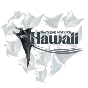 Diseño de Camiseta por Euney's Design para este proyecto | Diseño: #36360706