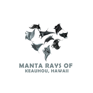 Diseño de Camiseta por bethmage janaka para este proyecto | Diseño #36358004