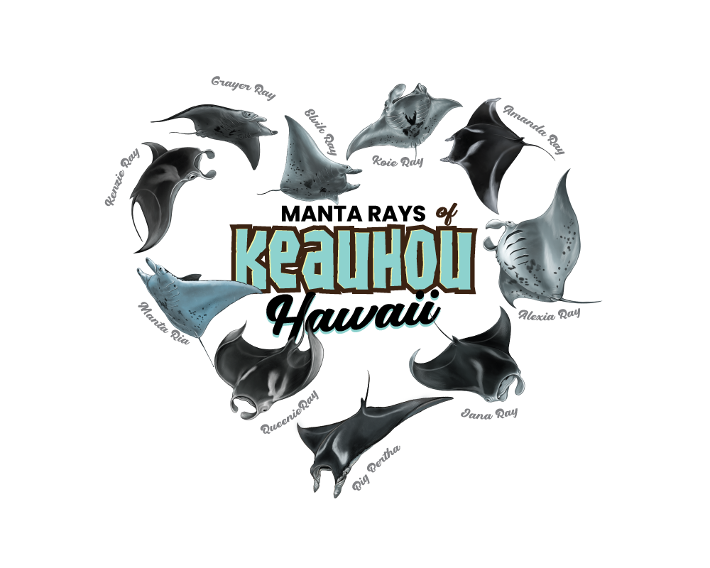 Diseño de Camiseta por Medi Gusmarizal para este proyecto | Diseño #36362621