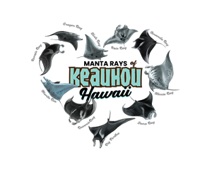 T-shirt Design by Medi Gusmarizal