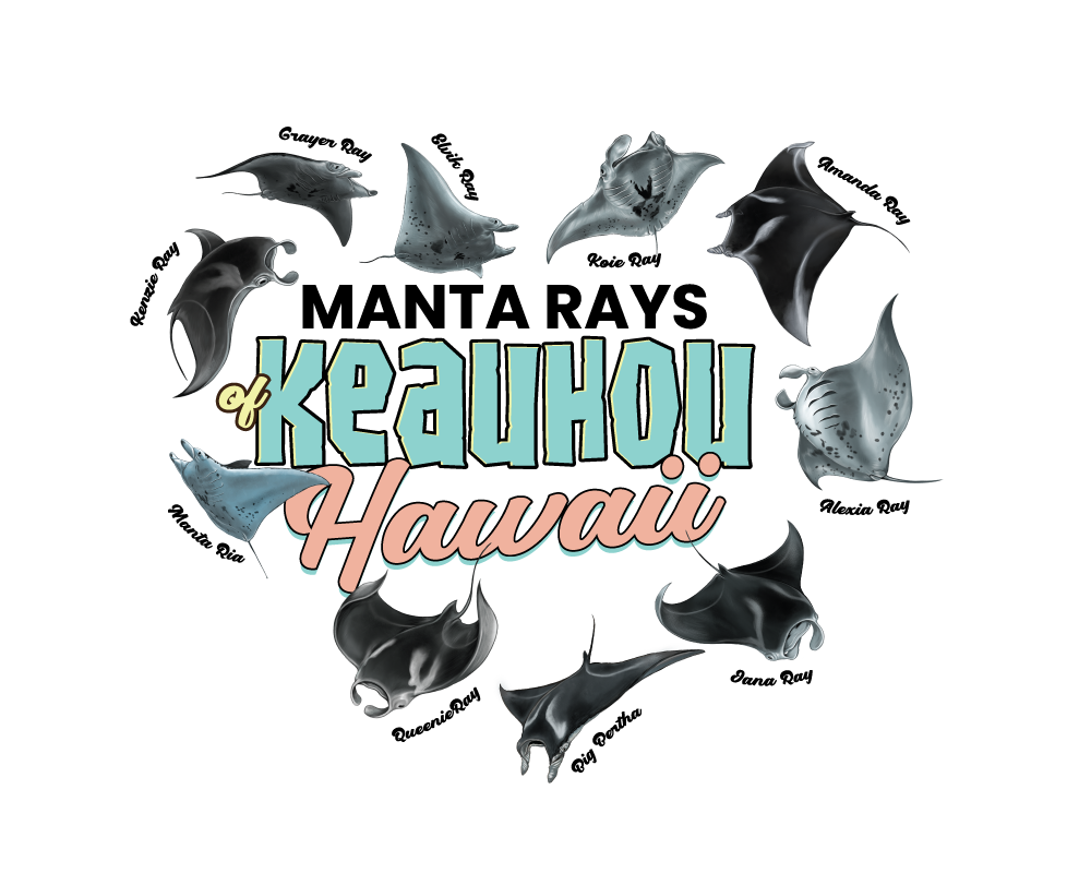 Diseño de Camiseta por Medi Gusmarizal para este proyecto | Diseño #36362686