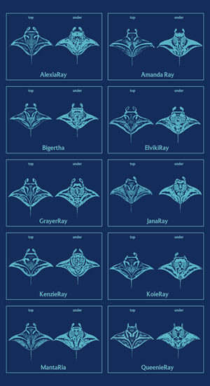 Diseño de Camiseta por KickArt para este proyecto | Diseño: #36371201