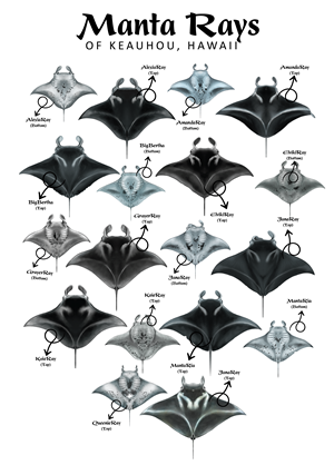 Diseño de Camiseta por Brandaura para este proyecto | Diseño: #36397576