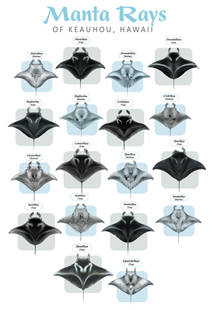 Diseño de Camiseta por Brandaura para este proyecto | Diseño: #36397739