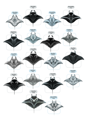 T-Shirt-Design von Brandaura für dieses Projekt | Design: #36397763