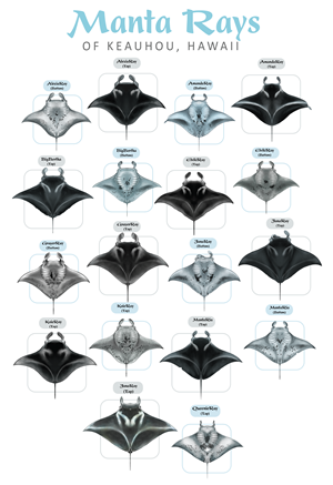 T-Shirt-Design von Brandaura für dieses Projekt | Design: #36397764