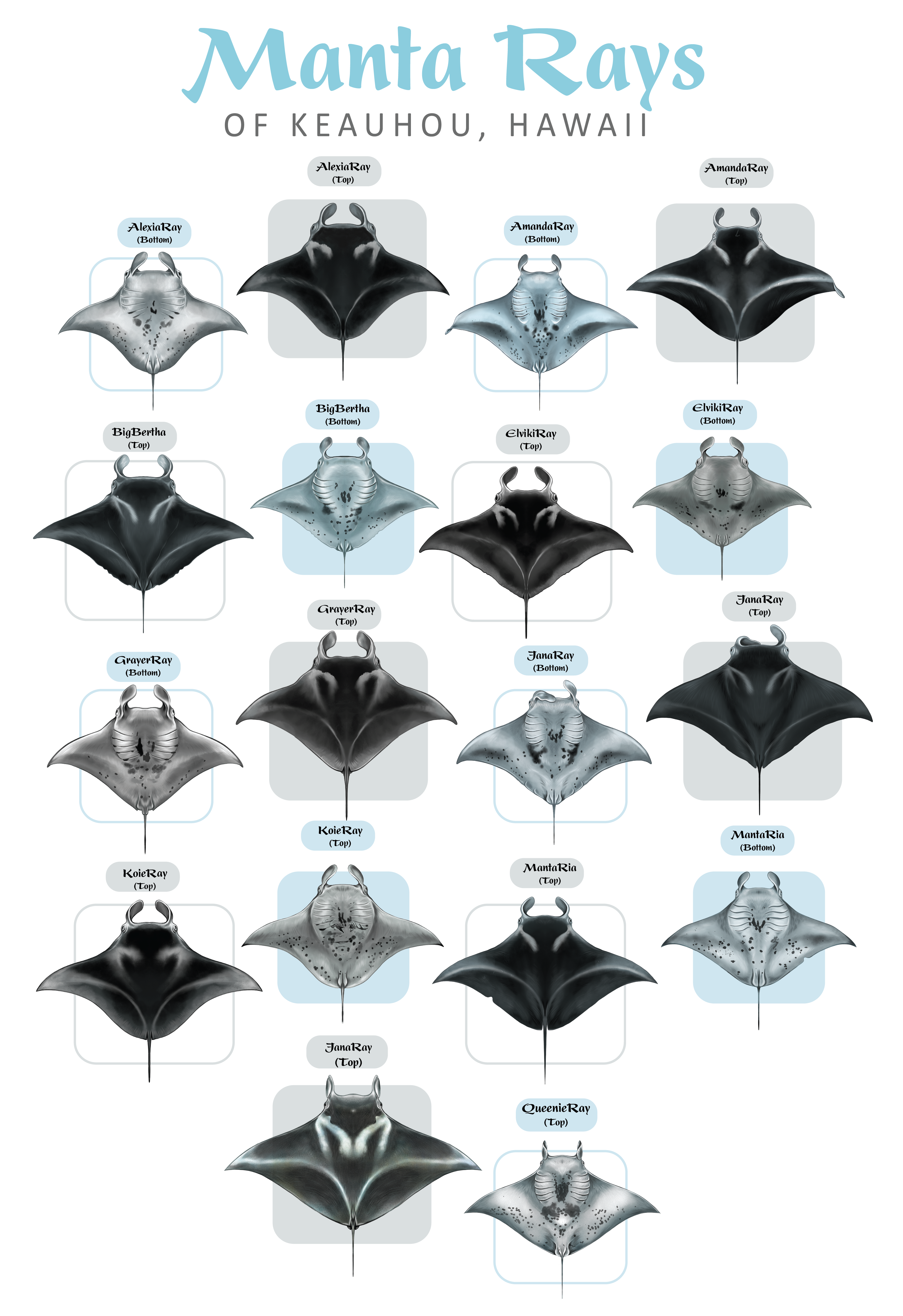 Diseño de Camiseta por Brandaura para este proyecto | Diseño #36397774