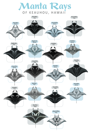 T-Shirt-Design von Brandaura für dieses Projekt | Design: #36397774