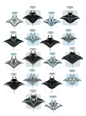 T-Shirt-Design von Brandaura für dieses Projekt | Design: #36397775