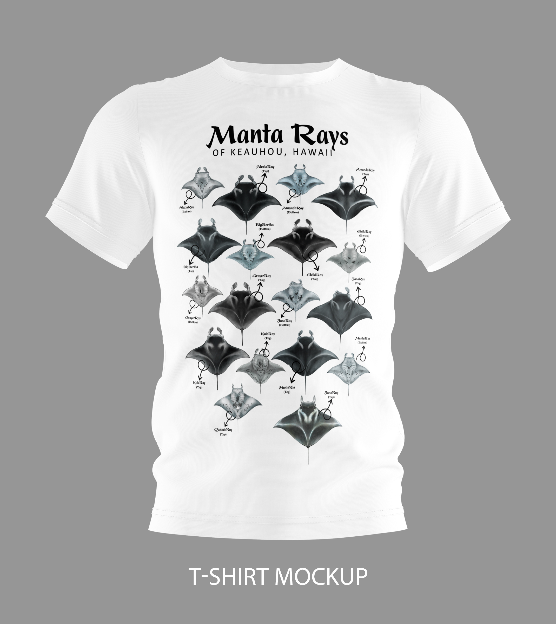 Diseño de Camiseta por Brandaura para este proyecto | Diseño #36400144