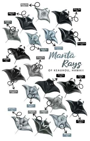 T-Shirt-Design von Brandaura für dieses Projekt | Design: #36400917