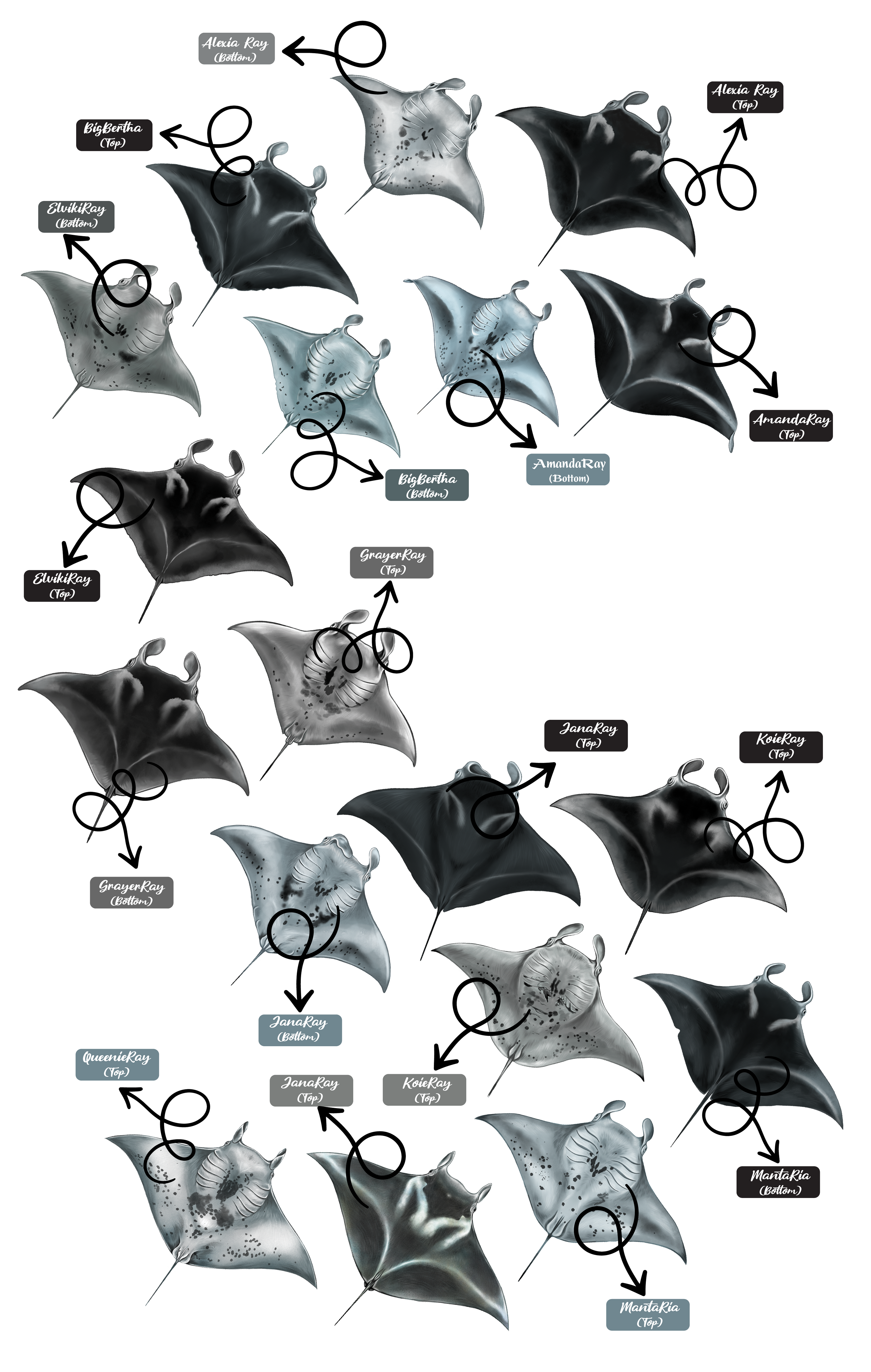 Diseño de Camiseta por Brandaura para este proyecto | Diseño #36400918