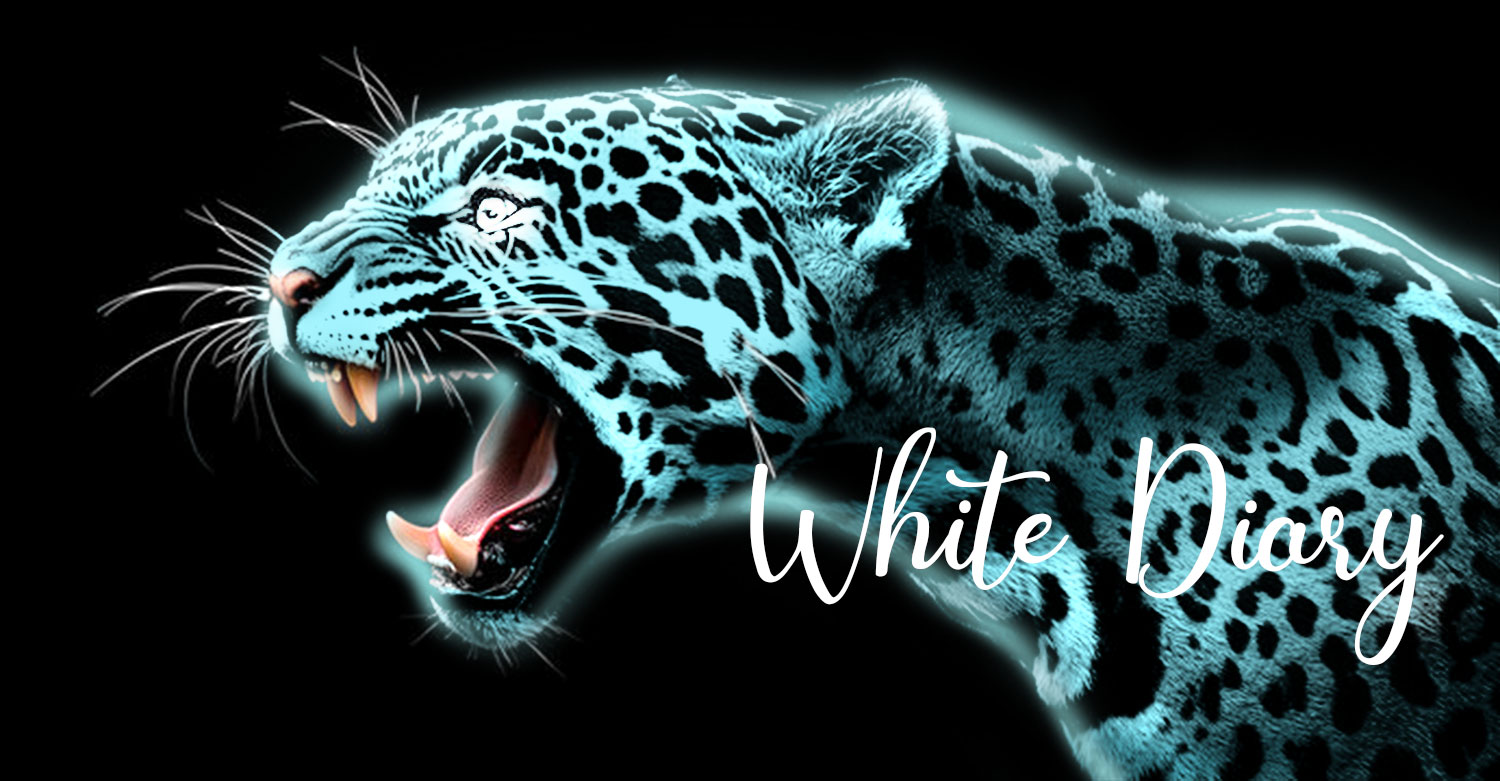 Car Wrap Design by White Diary for this project | Design #36370311