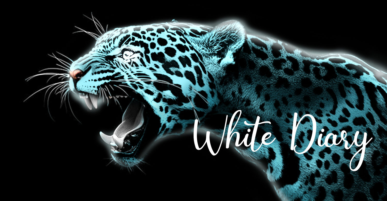 Car Wrap Design by White Diary for this project | Design #36370522