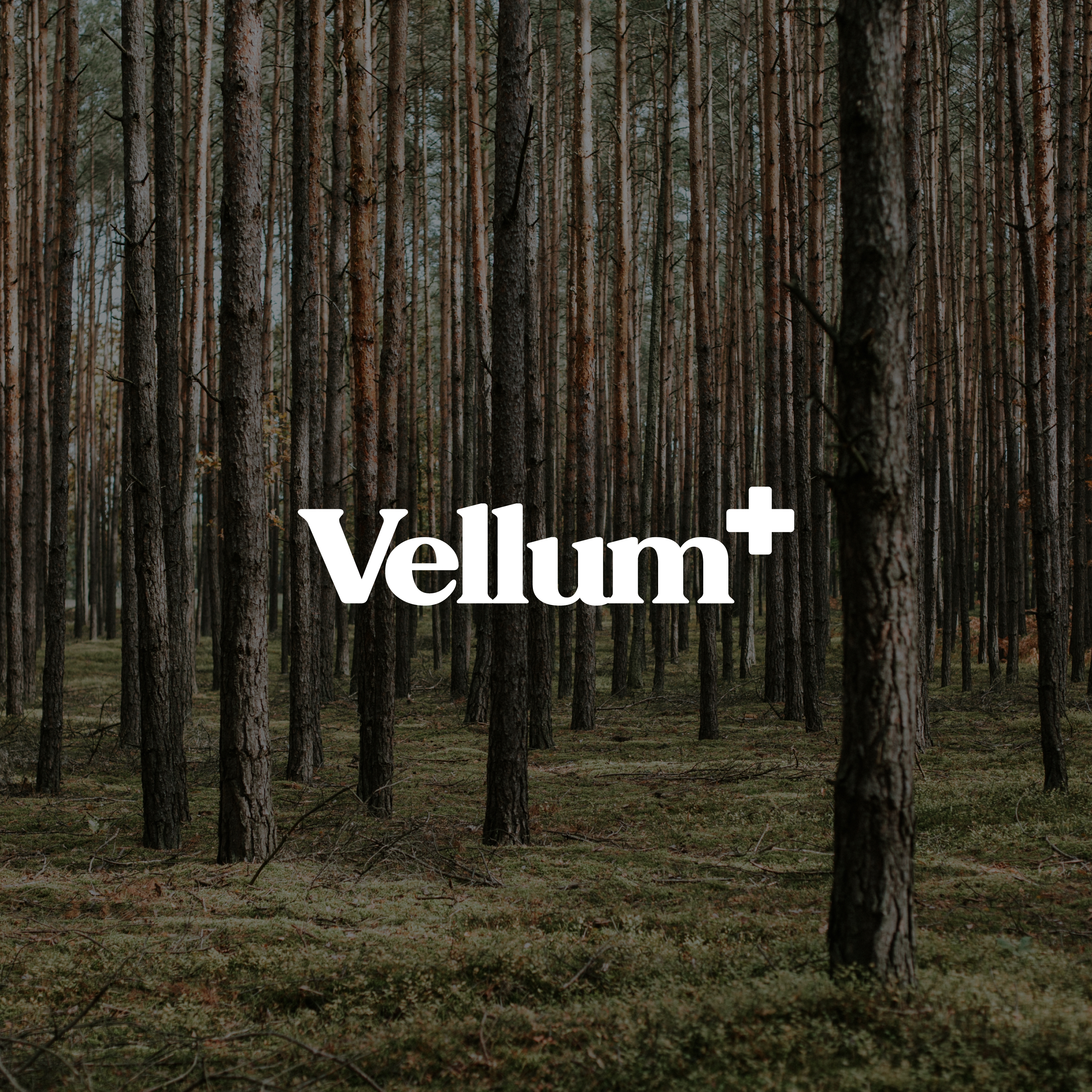 Logo-Design von arcoalex für dieses Projekt | Design #36379595