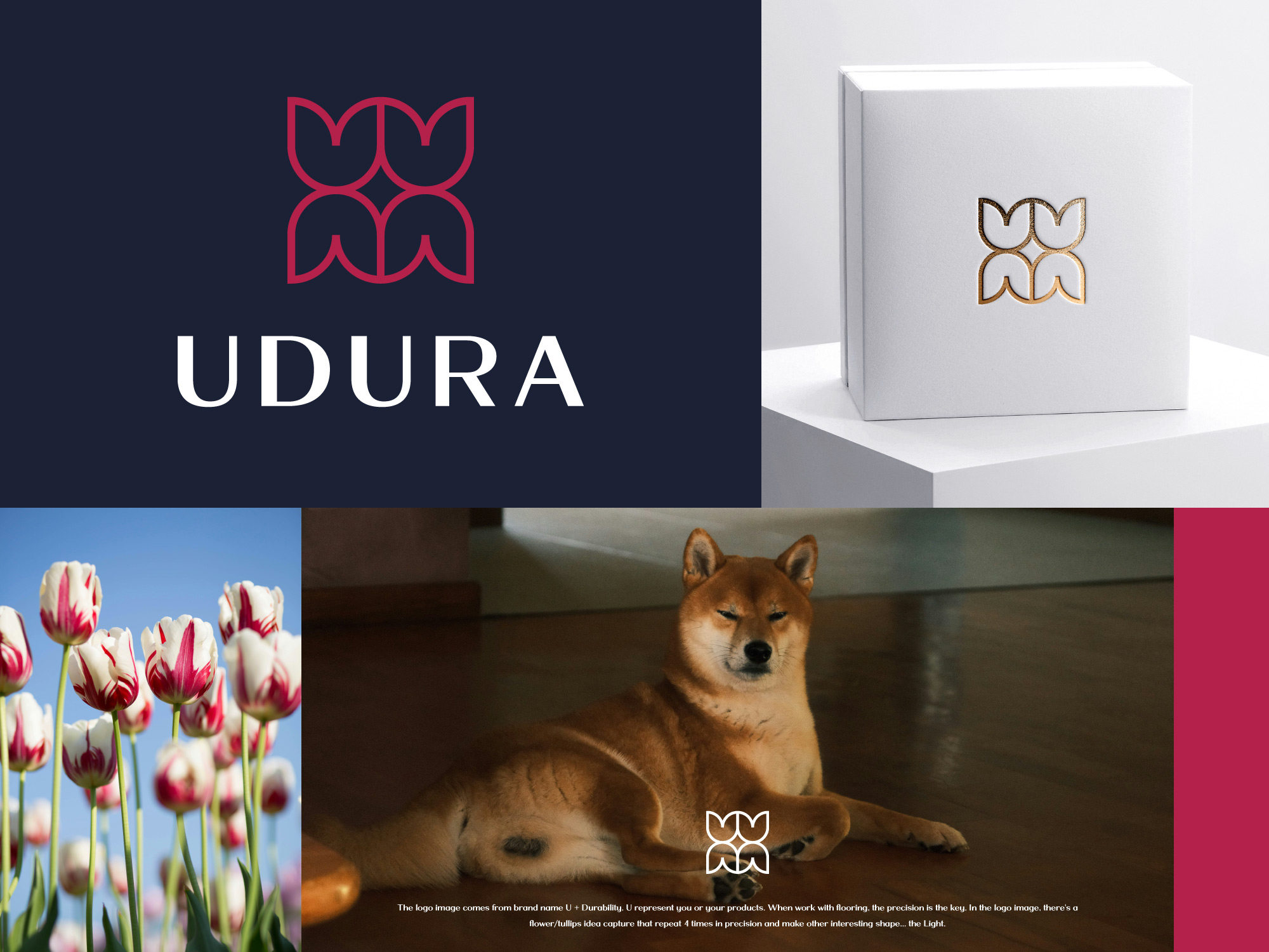 Logo-Design von John316 für dieses Projekt | Design #36384404