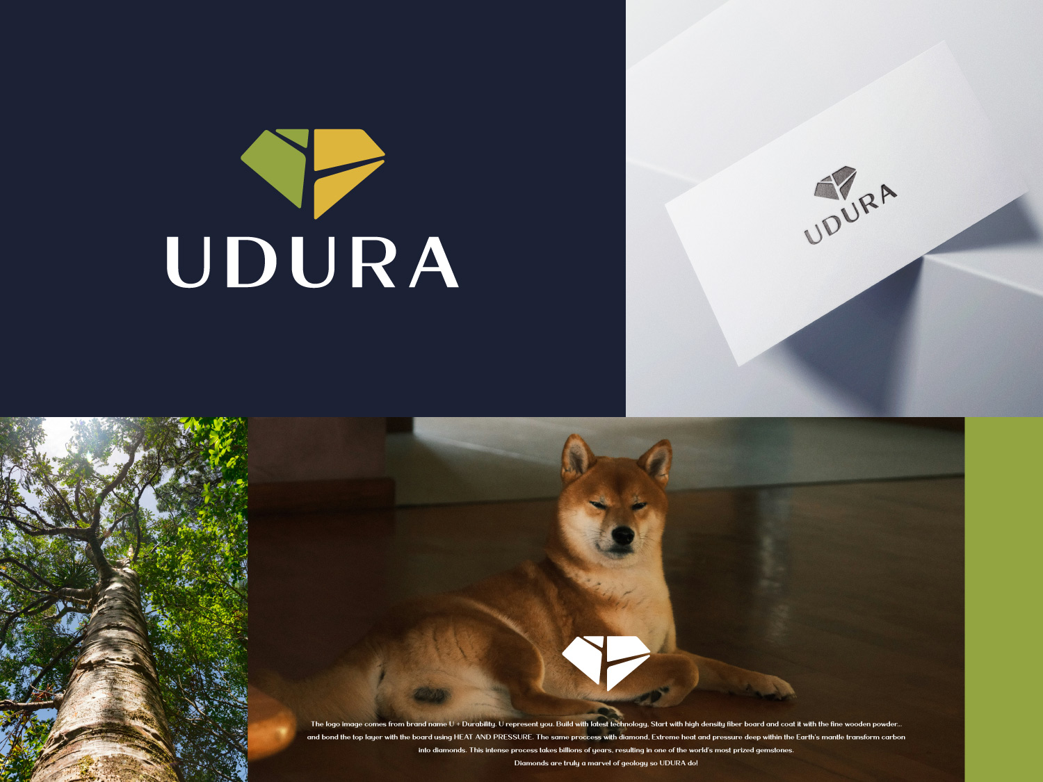 Logo-Design von John316 für dieses Projekt | Design #36384554