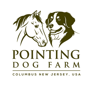 Design de Logo par Ahmar Niazi pour ce projet | Design : #36379007