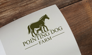 Design de Logo par Loin008 pour ce projet | Design : #36380643