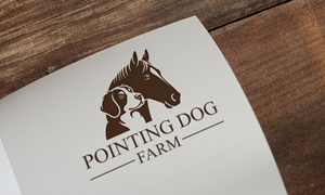 Design de Logo par Loin008 pour ce projet | Design : #36380645