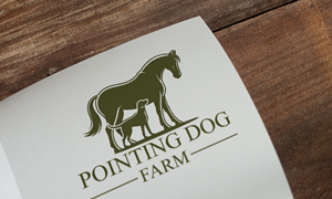 Logo Design by Loin008 for this project | Design: #36380646
