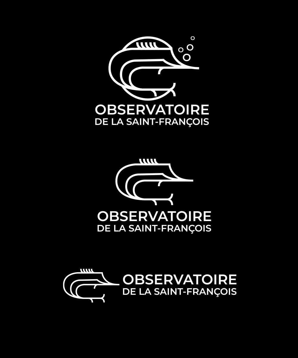 Diseño de Logo por StudioD™ para este proyecto | Diseño #36372816