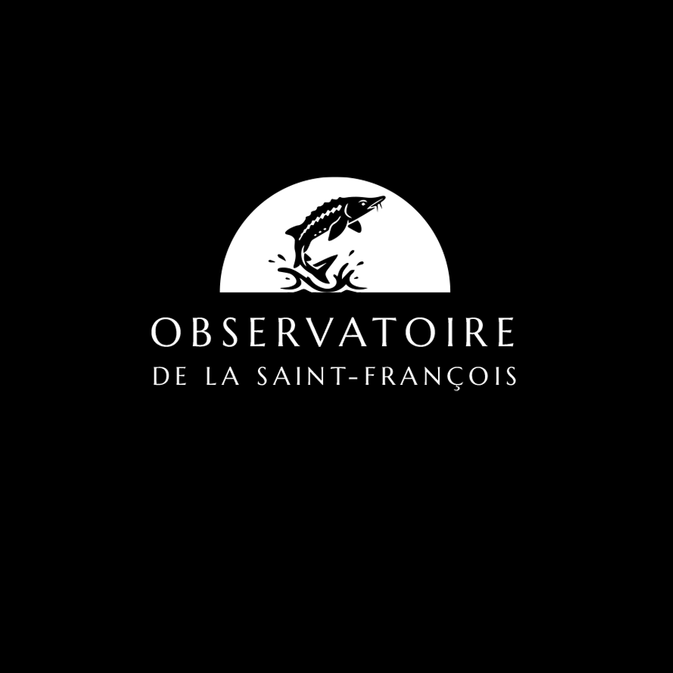 Logo Design by Ztardust for this project | Design #36380466