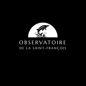 Logo Design by Ztardust for this project | Design: #36380466