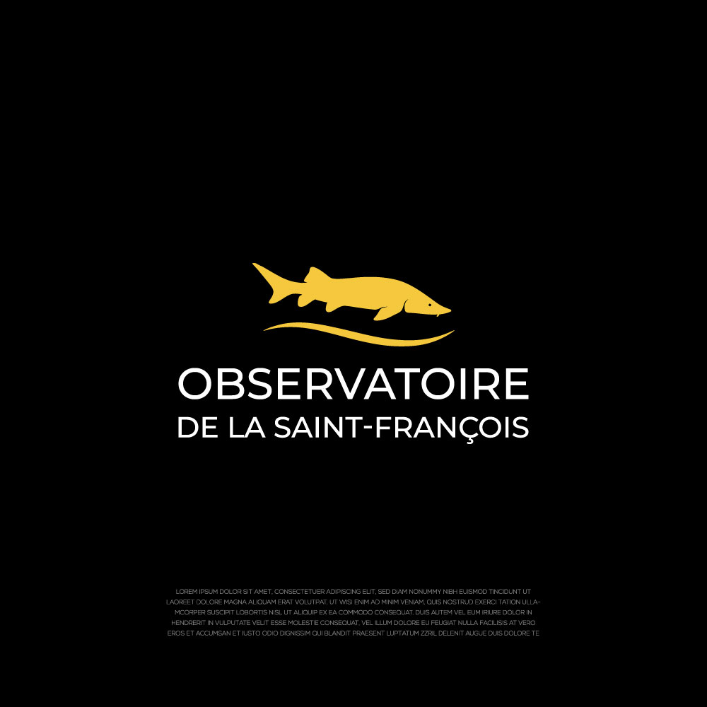 Diseño de Logo por LogoEon para este proyecto | Diseño #36372287