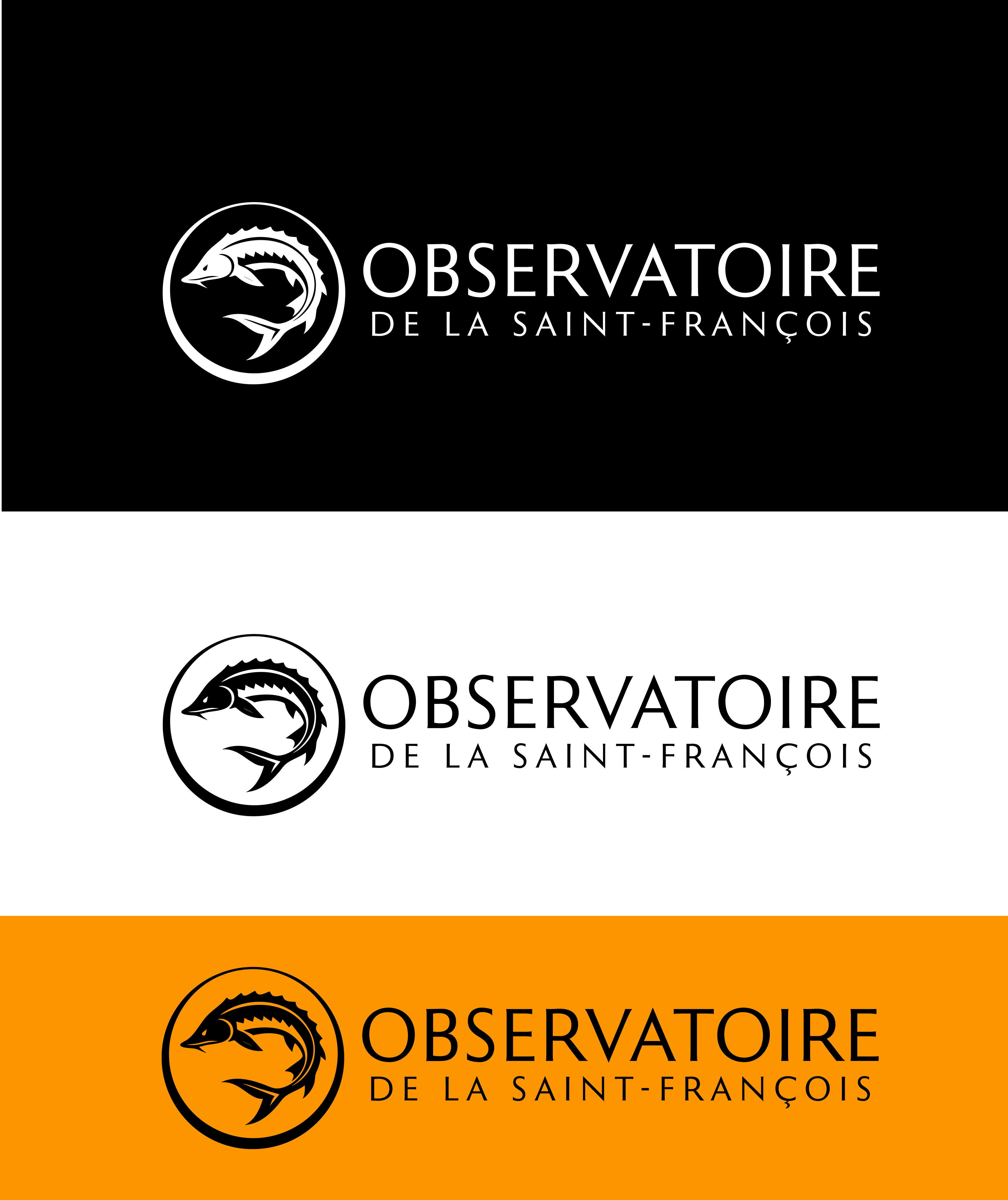 Logo Design by nicolaz for this project | Design #36414077