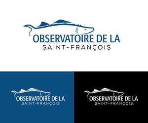 Diseño de Logo por Kavth para este proyecto | Diseño: #36406548