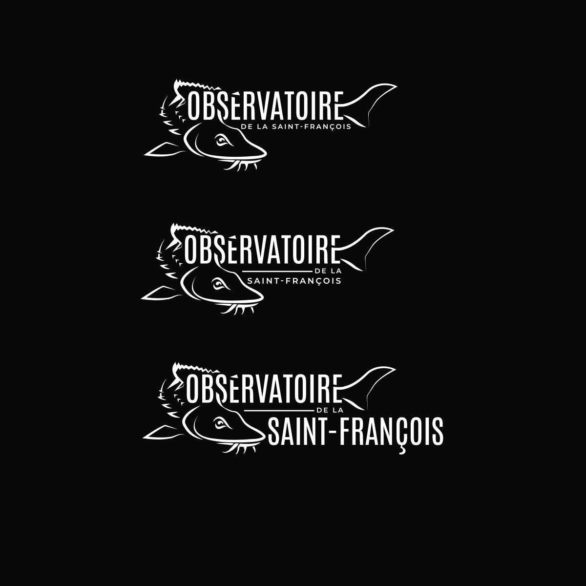 Diseño de Logo por Aaaron para este proyecto | Diseño #36411952