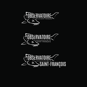 Logo Design by Aaaron for this project | Design: #36411952