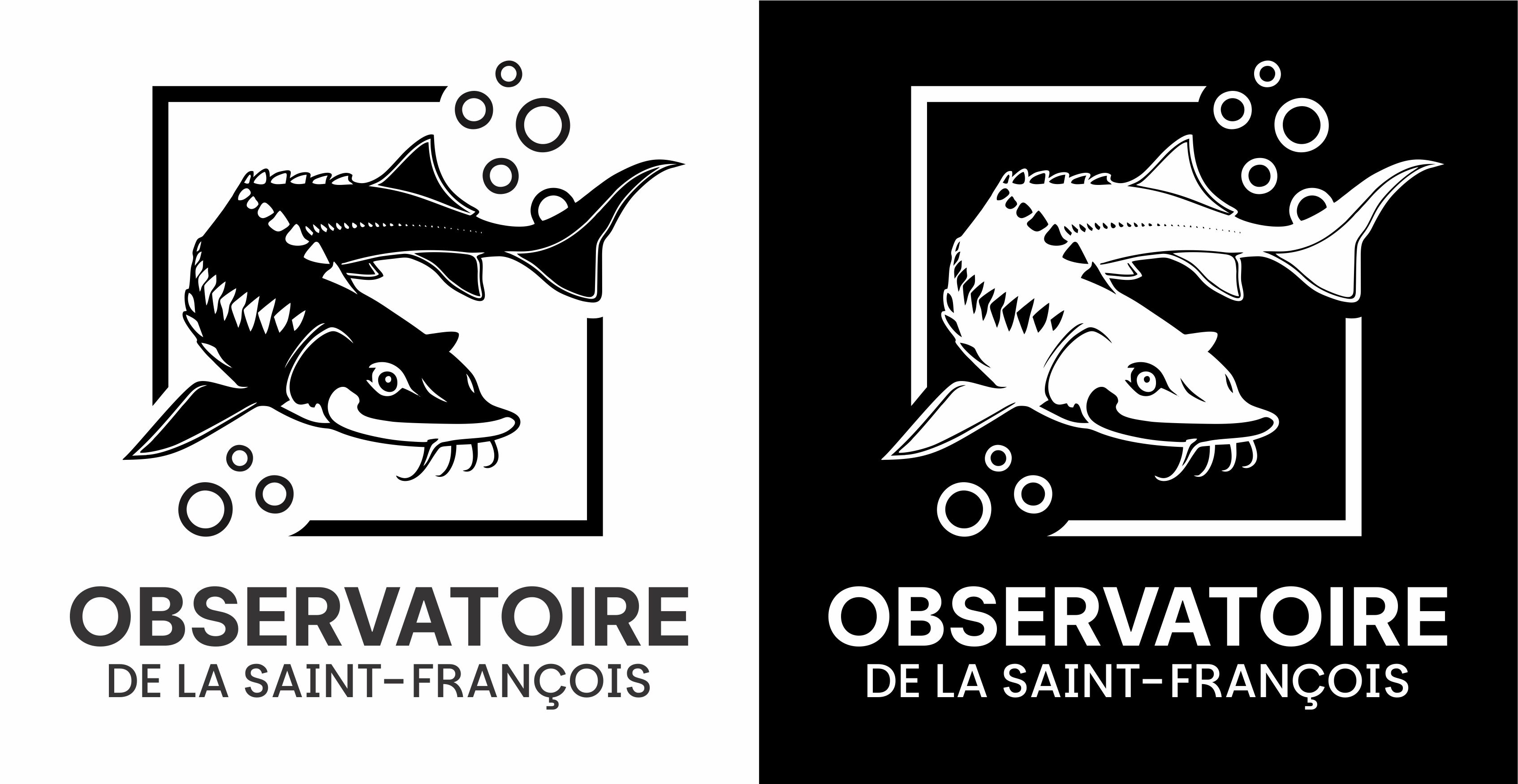 Logo Design by Borago for this project | Design #36405072