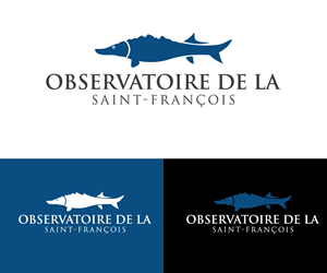 Diseño de Logo por RaKu 2 para este proyecto | Diseño: #36400593