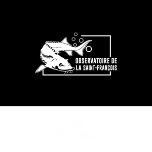 Logo Design by ainee4 for this project | Design #36377482