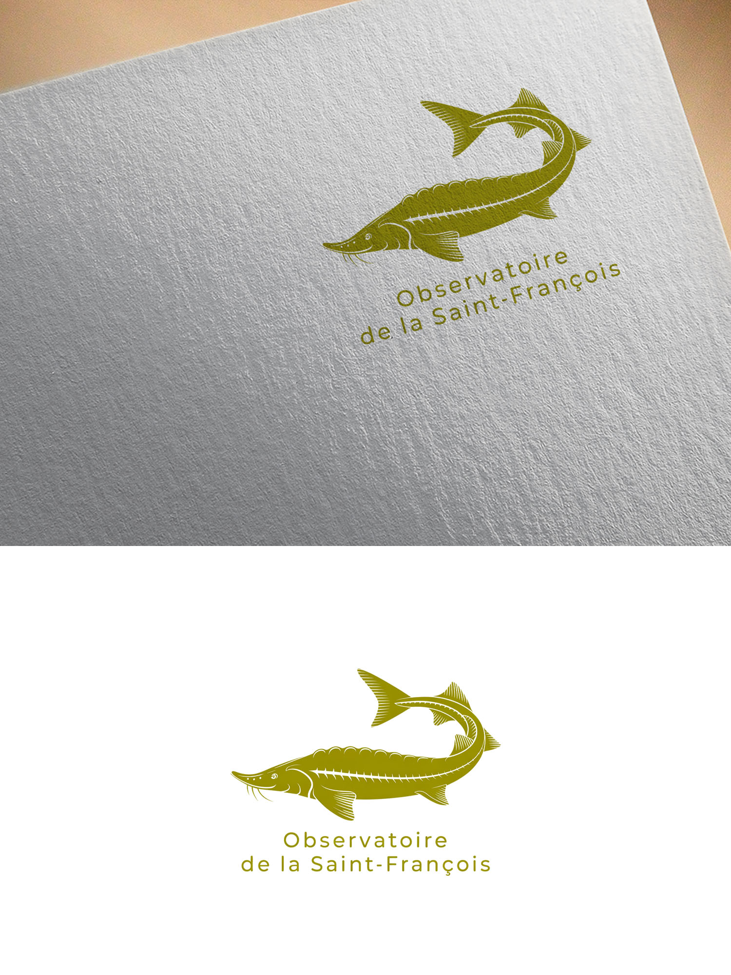 Logo Design by Olivia Marie Smith for this project | Design #36413516