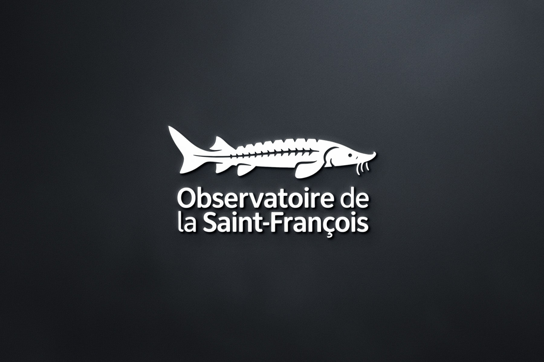 Logo Design by Majesty Design  for this project | Design #36413482