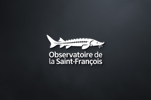 Logo Design by Majesty Design  for this project | Design: #36413482